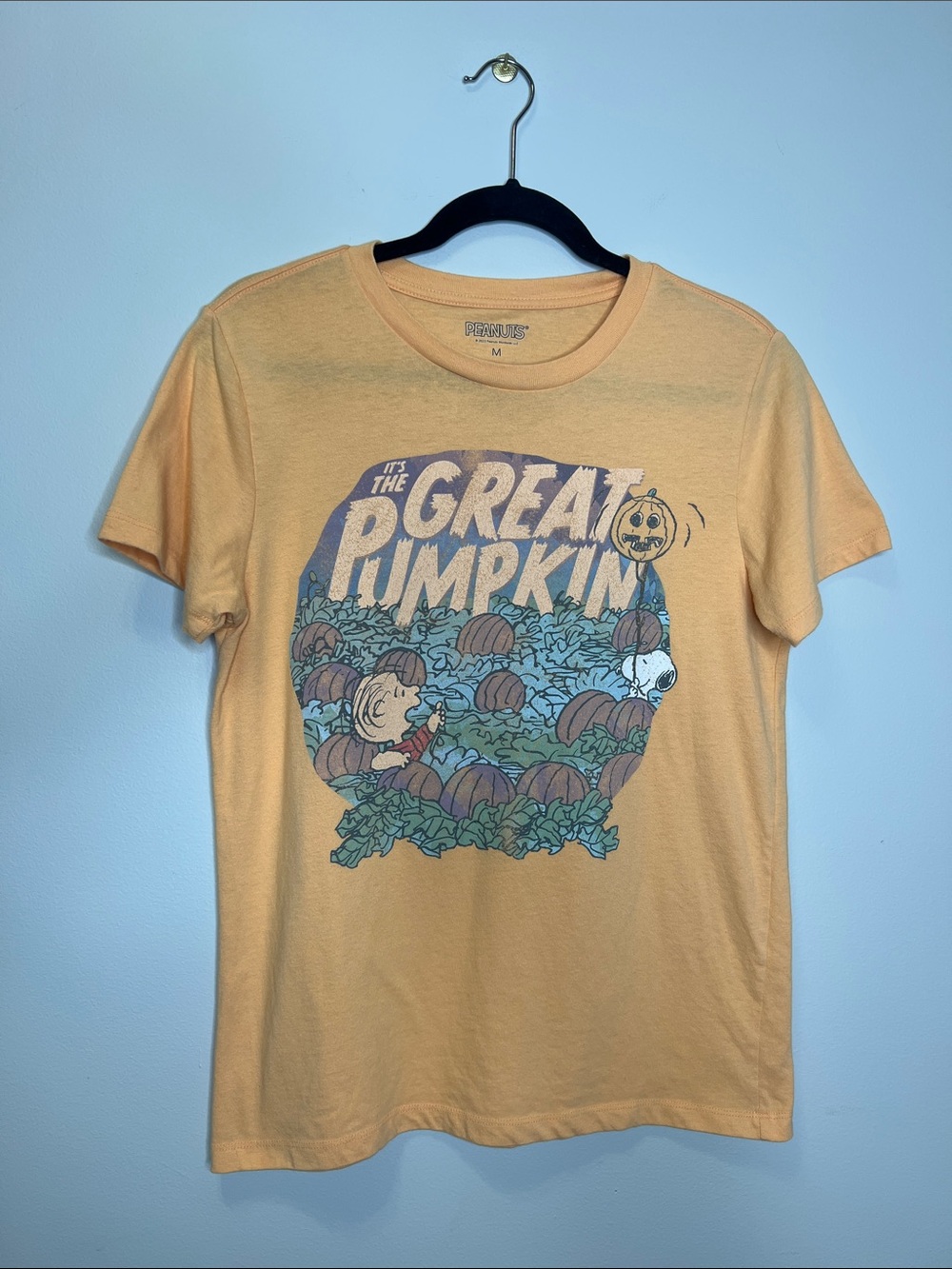 It’s the Great Pumpkin Charlie Brown and Snoopy Halloween Tee size Medium - Picture 2 of 9